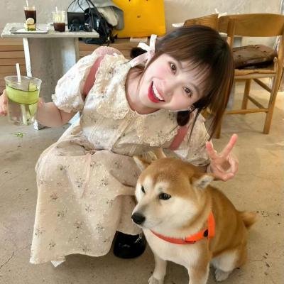 北京的西瓜